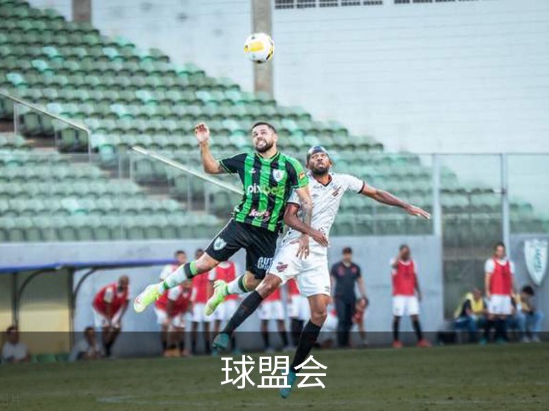 球盟会介绍